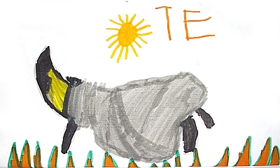rinoceronte